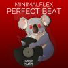 Download track Perfect Beat (Original Mix)