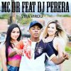 Download track Vira Virou (DJ Perera)