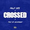 Download track Crossed