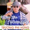 Download track Màu Xác Phượng Rơi - Short Version 2