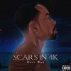 Download track Scars In 4K Interlude