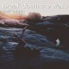 Download track Break Down The Walls