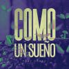 Download track Como Un Sueño