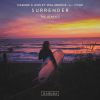 Download track Surrender (Nash Extended Remix)