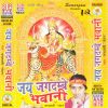 Download track Devi Maiya Jagat Bhav Paran