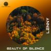 Download track Beauty Of Silence (Radio Edit)