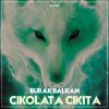 Download track Cikiluta Cikita (Oriental)