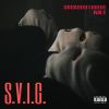 Download track S. V. I. G.