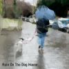 Download track Water Bounce Off My Dog