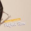 Download track Perfect Time (Original Mix)