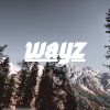 Download track Wayz