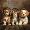 Download track Delightful Tunes For Pets