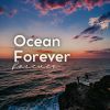 Download track Ocean Defender, Pt. 7