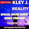 Download track Reality (Special Aaaa Instrumental Mix)