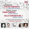 Download track Violin Concerto In G Minor, Op. 67: I. Allegro Molto