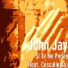 Download track Si Te Me Pegas (Cosculluela)