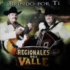 Download track Brindo Por Ti