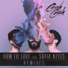 Download track How To Love (Hellberg Remix)