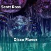 Download track Disco Flavor (60 Bass Drums And Percussion)