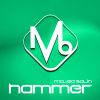 Download track Hammer