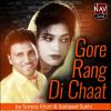 Download track Chal Bhaj Lae Haan Diye