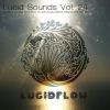 Download track Lucid Sounds, Vol. Twenty Four Deep Flow (Continuous DJ Mix)