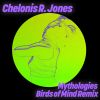 Download track Mythologies (Birds Of Mind Remix)