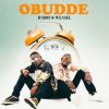 Download track Obudde