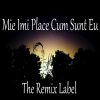 Download track Mie Imi Place Cum Sunt Eu (VOCE Acappella DJ Tool)