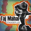 Download track Taj's Blues