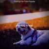 Download track Vibrant Backdrops For Dogs