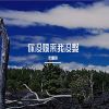 Download track 不知道雪花要喝多少才会飘