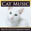 Download track Cat Music While You Are Away