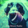 Download track Magical Music For Puppies