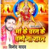 Download track Maa Ke Charan Chalo Na Saran