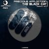 Download track The Black Cat Original Mix