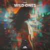 Download track Wild Ones (Extended Mix)