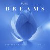 Download track Pure Dreams