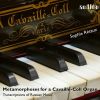 Download track Visions Fugitives, Op. 22: III. Allegretto (Arranged For Organ)