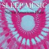 Download track Sleep Music - Native American Flute For Sleep