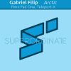 Download track Arctic (Pad One Rmx)