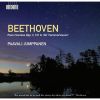 Download track 3. Sonata In F Minor Op. 2 No. 1 - III. Menuetto Trio: Allegretto