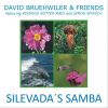 Download track Silevada's Samba (Rodrigo Botter Maio & Simon Wyrsch)