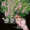 Download track 谁更精彩