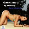 Download track Dark Cobalt (Dj Fonzy Lounge Radio Edit)