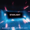 Download track Starlight (Zen Tailor RMX)