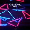 Download track Robosonic