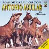 Download track Corralero El