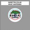 Download track What Happened (Invisible Sounds Remix)