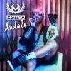 Download track Andale (Radio Edit)